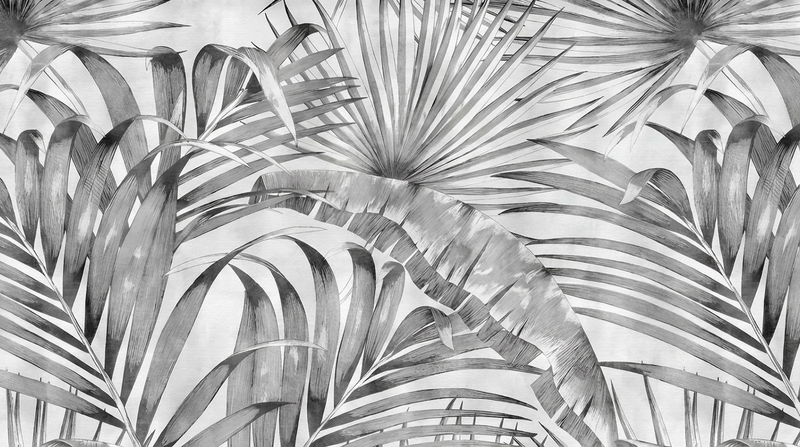 Black and White Wallpaper | Soft Jungle