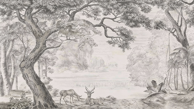 Black and White Wallpaper | Black Forest