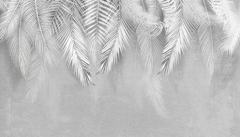 Black and White Wallpaper | Palm Jungle