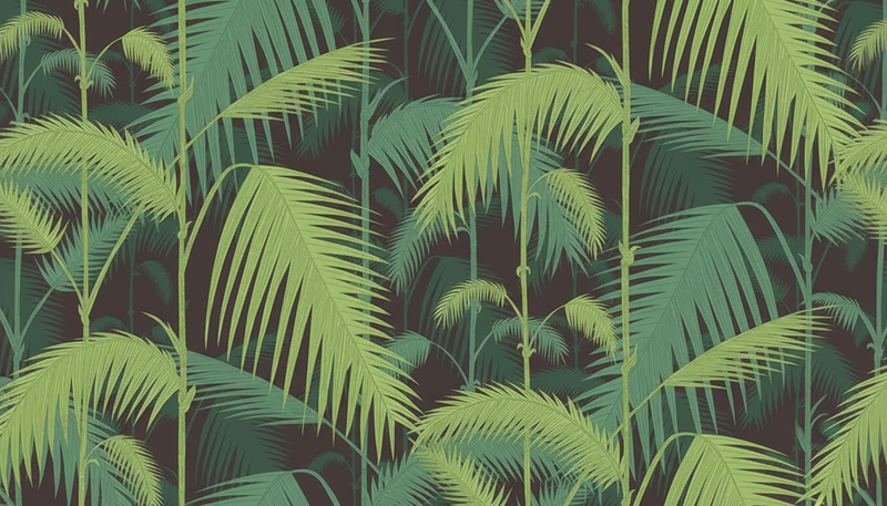 Wallpaper | Deep Green Palm Forest