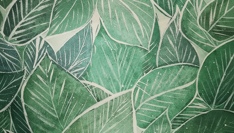 Wallpaper | Green Botanical Lines