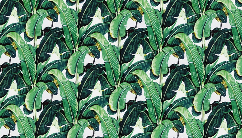 Wallpaper | Emerald Banana Jungle